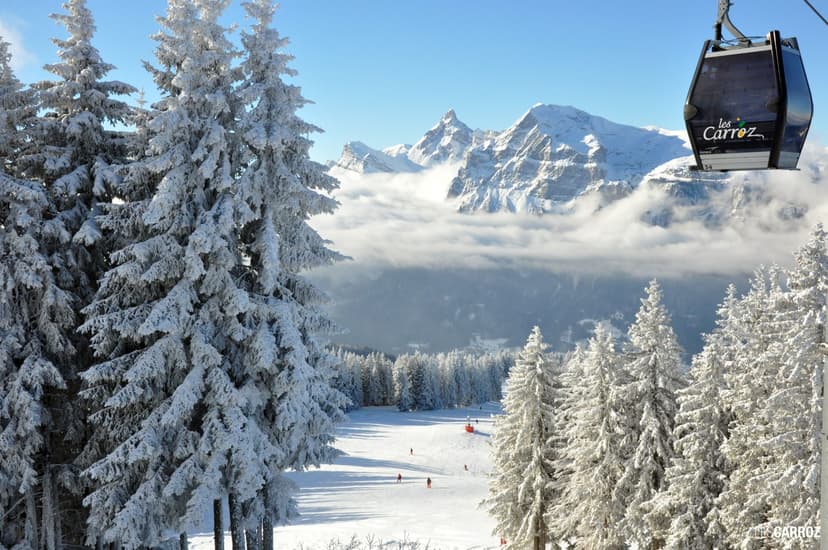 Ski slope between snowy trees under gondola