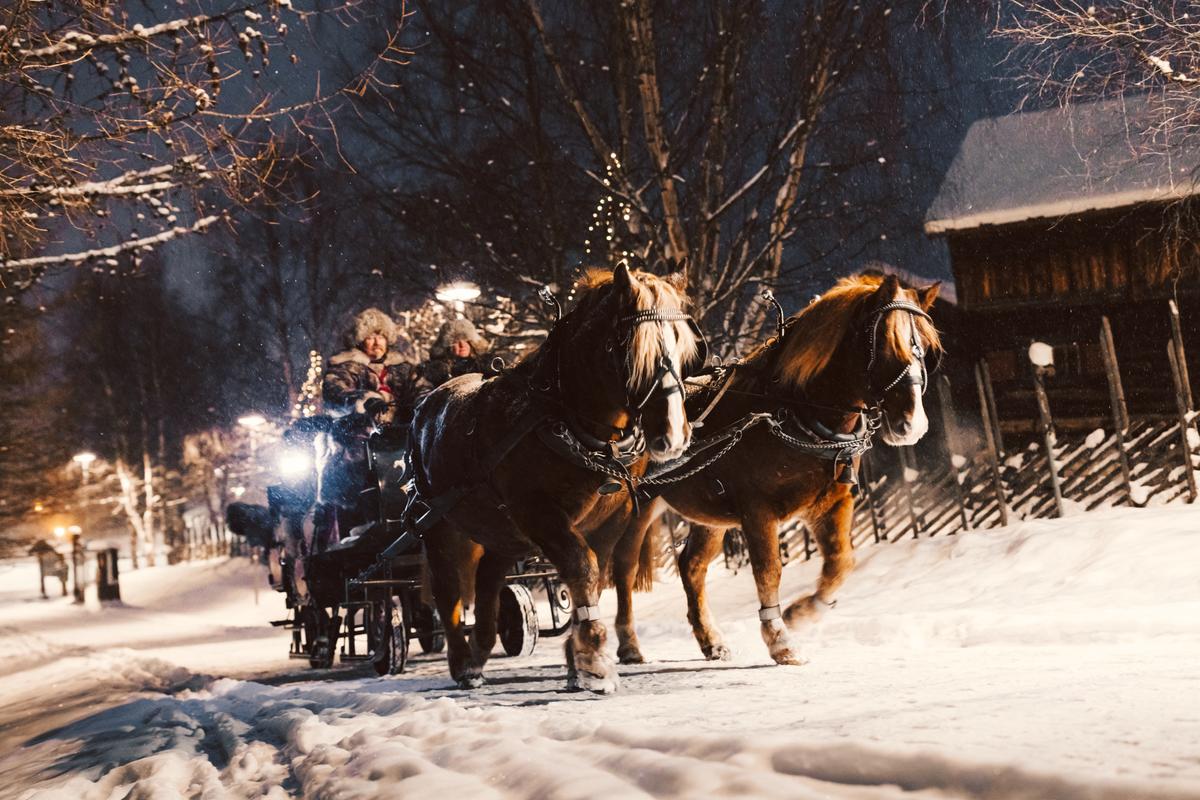 Family sleigh ride at Geilo ski resort